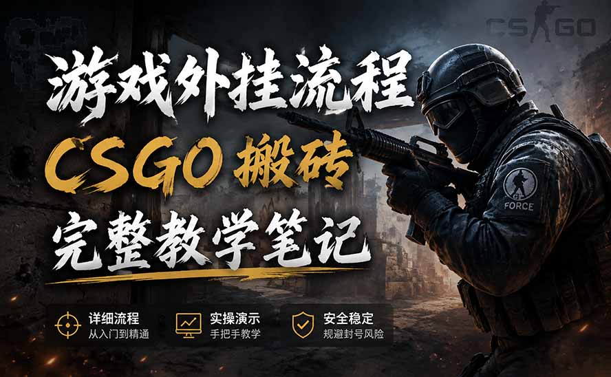 游戏挂机全流程笔记分享，CSGO游戏搬砖，小白看了当天学会见收益-白蛇网