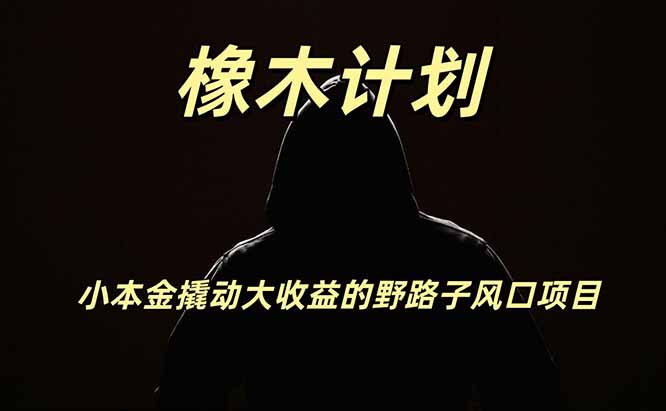 橡木计划，小投入撬动高回报的风口野路子项目，一天投入2小时左右-白蛇网