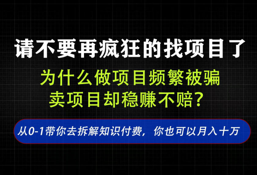 找项目？别傻了！卖项目才是真的一本万利！看完你全都懂了【揭秘】-白蛇网