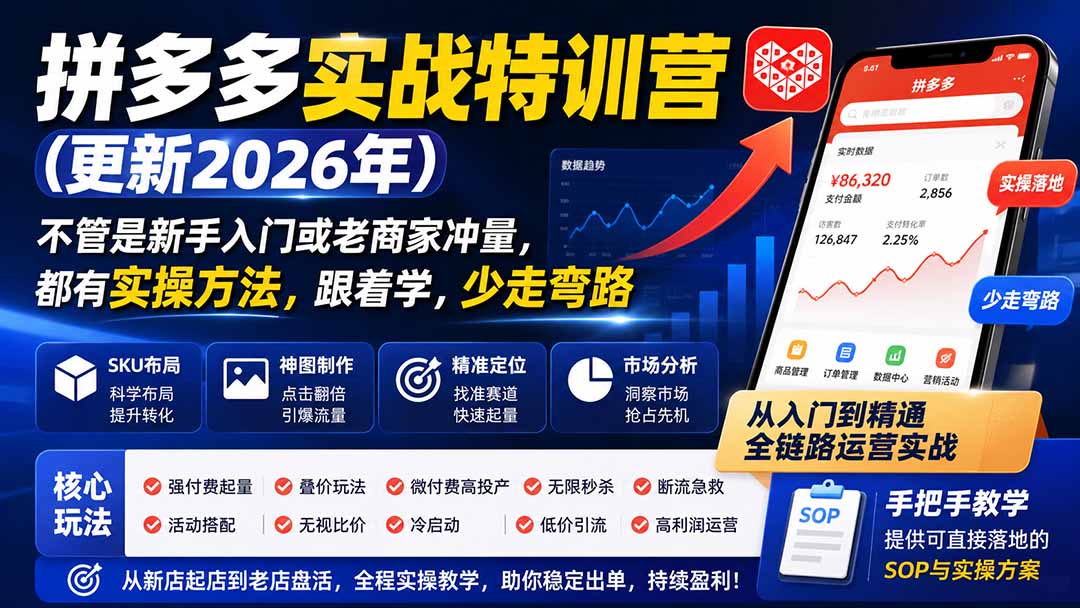 拼多多实战特训营(更新26年0821-白蛇网