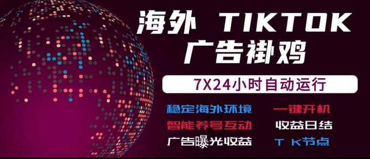 海外TikTok挂G流量变现，7X24自动运行，广告曝光收益，收益日结【揭秘】-白蛇网