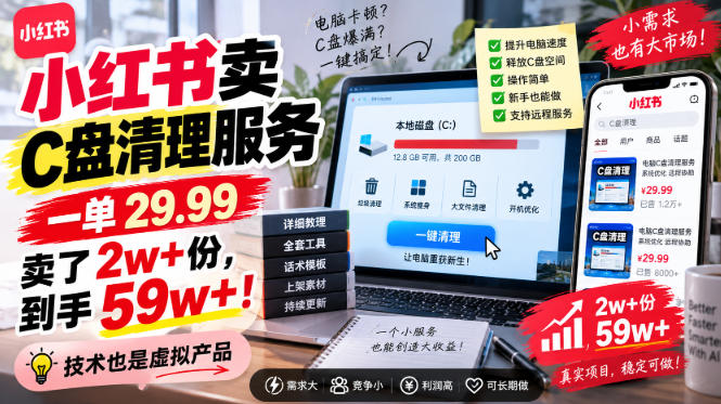 小红书卖C盘清理服务，一单29.99，卖了2w+份，技术也是虚拟产品-白蛇网