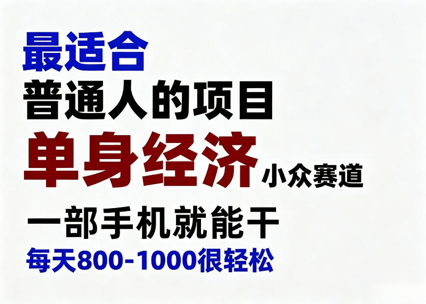 身经济小众赛道，一部手机就能干，每天搞个800-1000很轻松，最适合普通人的项目【揭秘】-白蛇网